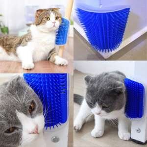 Kaciu Masazavimo Sukos Katzoles Maiselis DOVANU6