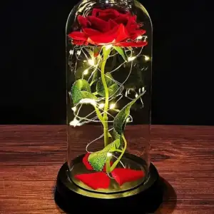 stabilizuota amzinoji roze su led c8ca2 kaina reference