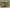 491185627 1182653763091166 2998507434433900896 n