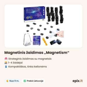 Magnetinis žaidimas „Magnetism“ – savybės