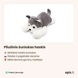 Plīša kucēns haskijs – savybės